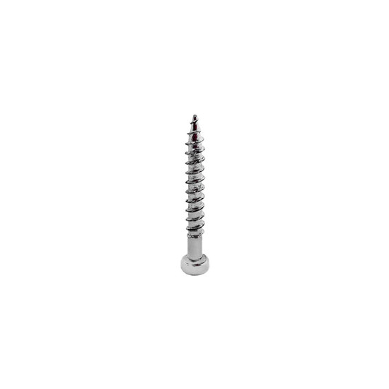 Tolóajtó Sín Csavar D fejű 2,5x14mm
