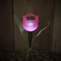 Imagine 1/5 - LED-es szolár tulipánlámpa