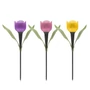 Imagine 3/5 - LED-es szolár tulipánlámpa