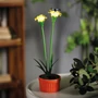 Imagine 1/4 - Szolár színes virág - 8 x 8 x 32 cm - 10 melegfehér LED - sárga