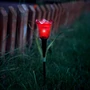 Imagine 1/4 - LED-es szolár tulipánlámpa - sárga / piros / rózsaszín - 31 cm - 24 db / kínáló