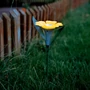 Imagine 1/4 - Leszúrható szolár virág - 3 szín - 30 x 10 cm - fehér LED