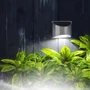 Imagine 1/4 - Szolár lámpa - fali - 10 x 5 x 8 cm - 4 fehér SMD LED