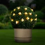 Imagine 2/5 - LED szolár fényfüzér - méhecske - 2,3 m - 20 LED - melegfehér