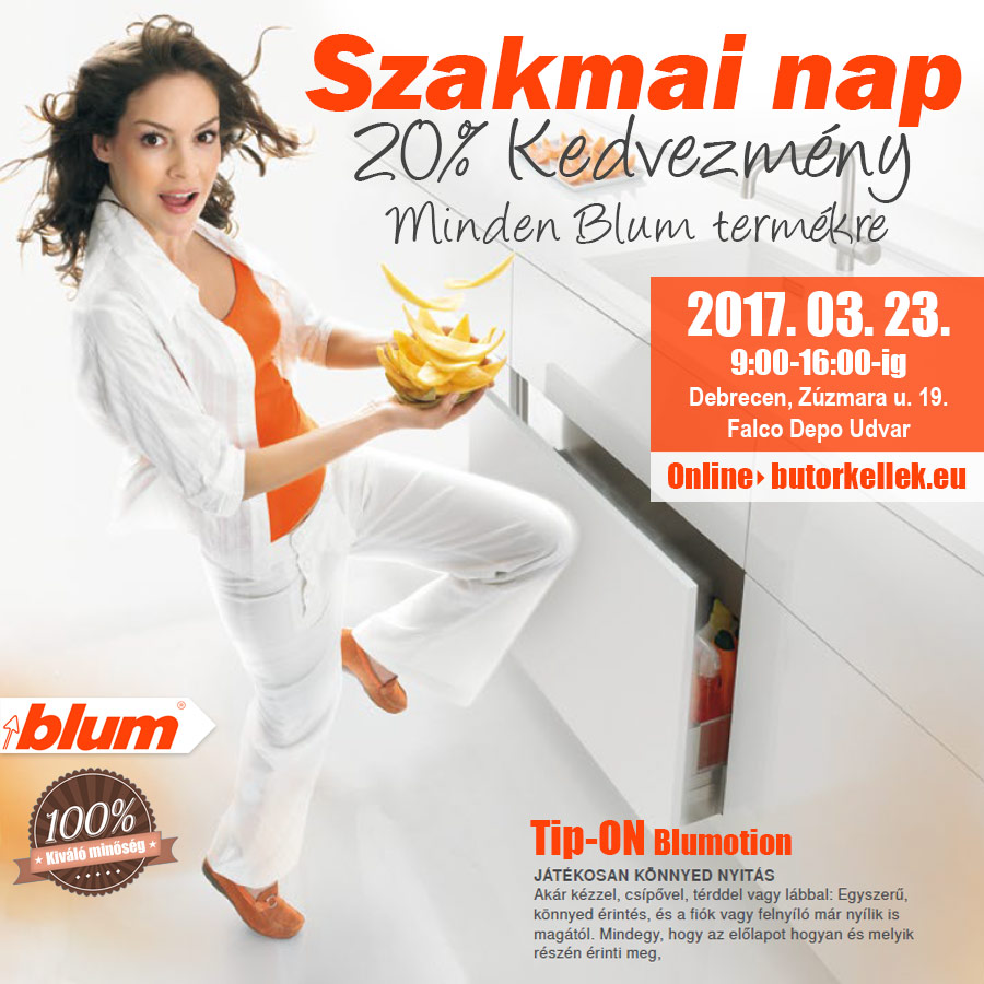 Blum szakmai nap